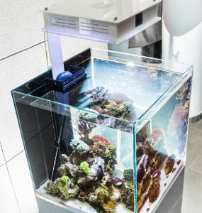 Kompletny zestaw akwariowy z obsługą ze smartphone'a