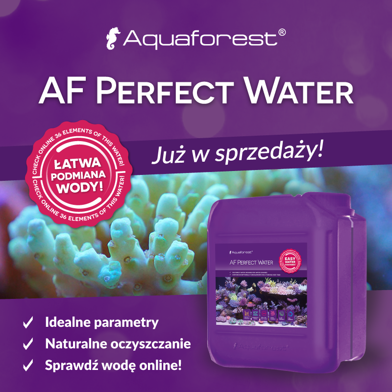Aquaforest AF Perfect Water 20l idealna woda morska