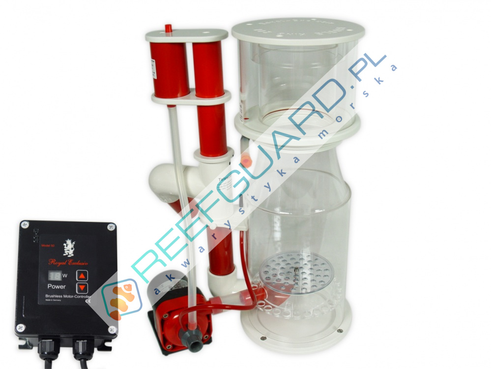 Odpieniacz Royal Exclusive Exclusiv Bubble King DeLuxe 200 internal + RD3 Speedy od 600 do 1500 litrów