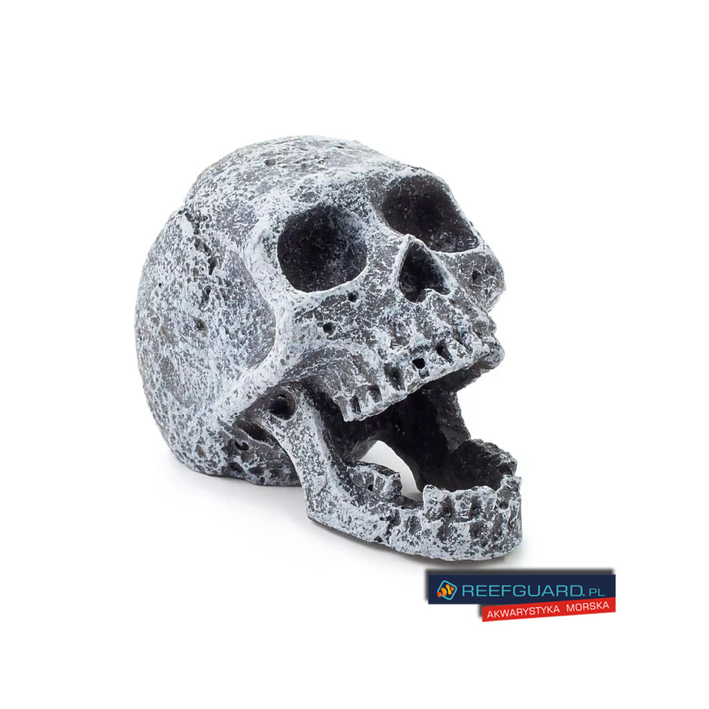Czaszka do akwarium R107 55mm HAPPET mini czaszka terrarium