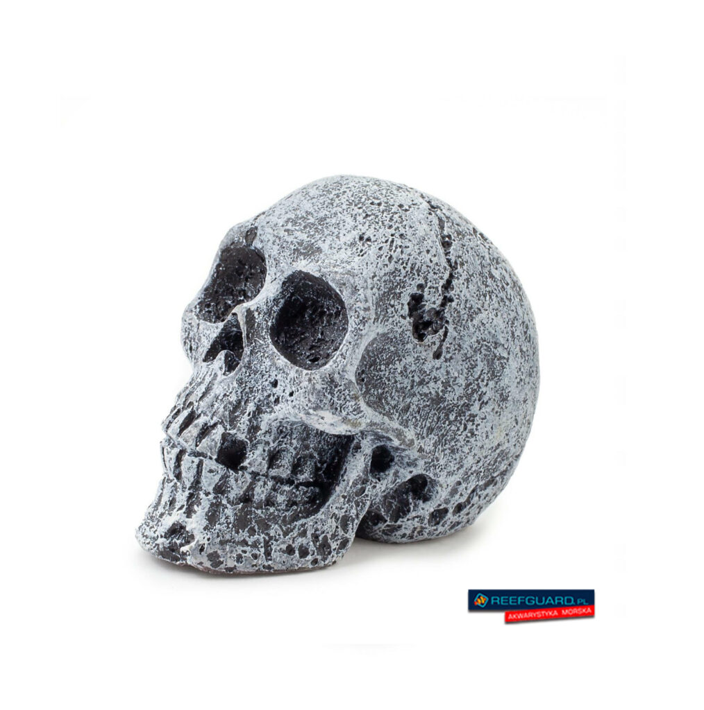 Czaszka do akwarium R108 55mm HAPPET mini czaszka terrarium