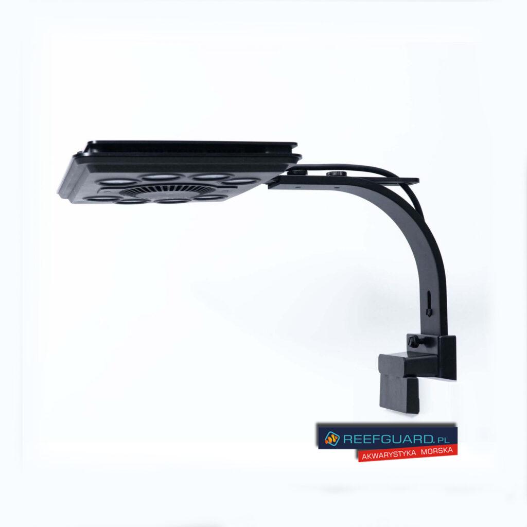 MAXSPECT Jump MJ-L260 Blue