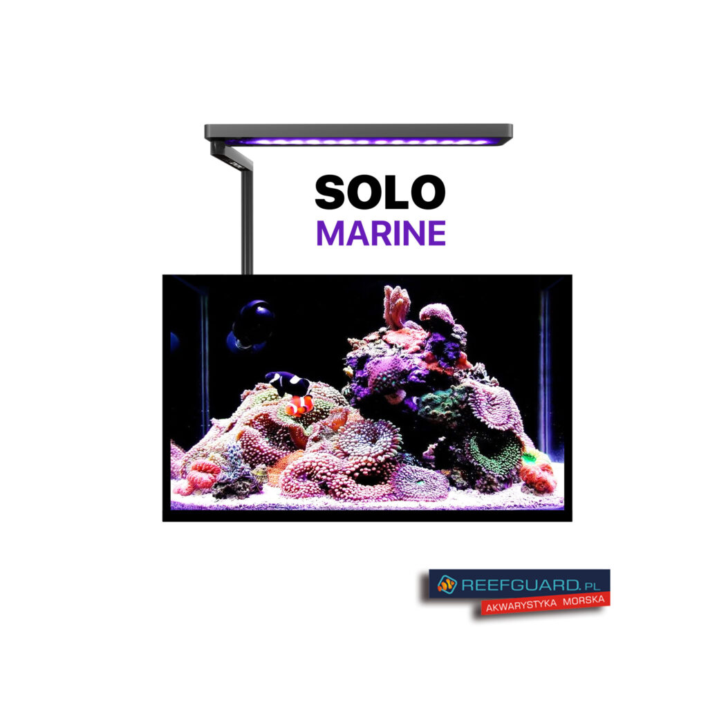 MICMOL Lampa Led Solo Marine 19W