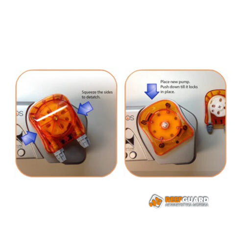 Neptune Systems Replacement Head Cap for DOS wymiana