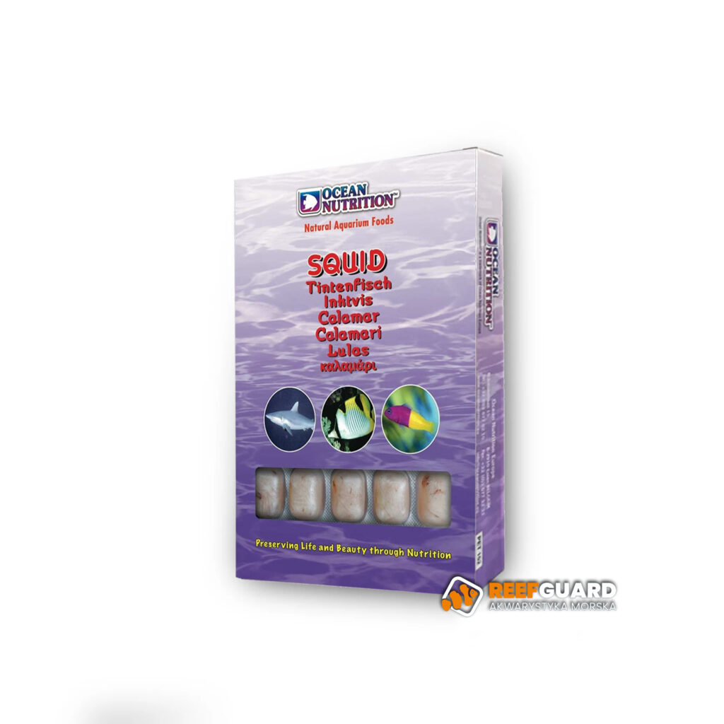 Ocean Nutrition Squid 100g mrożone kalmary