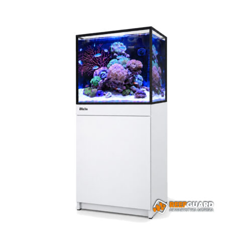 RED SEA REEF-FRAME 170 akwarium 170l 60x50x53cm z białą szafką