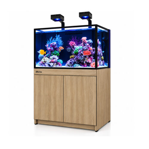RED SEA REEF-FRAME 250 MAX akwarium 246l 90x50x53cm z dębową szafką front