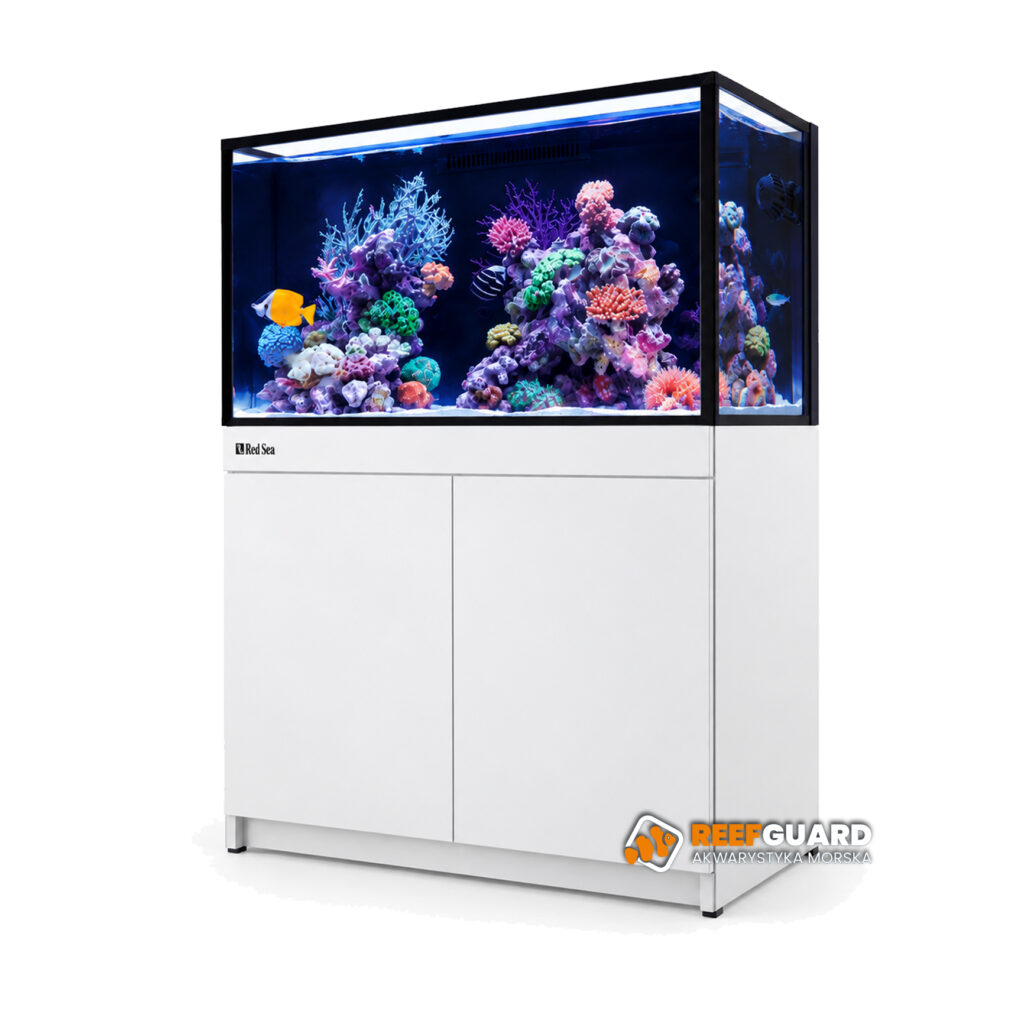 RED SEA REEF-FRAME 250 akwarium 246l 90x50x53cm z białą szafką