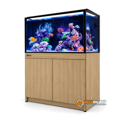 RED SEA REEF-FRAME 250 akwarium 246l 90x50x53cm z dębową szafką