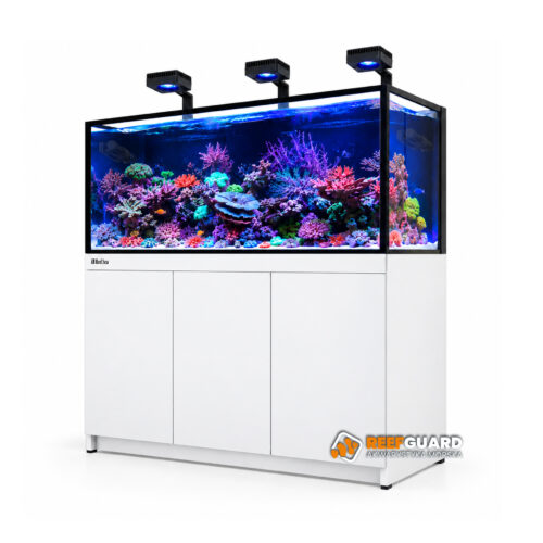 RED SEA REEF-FRAME 500 MAX akwarium 515l 150x57,5x55cm z białą szafką front