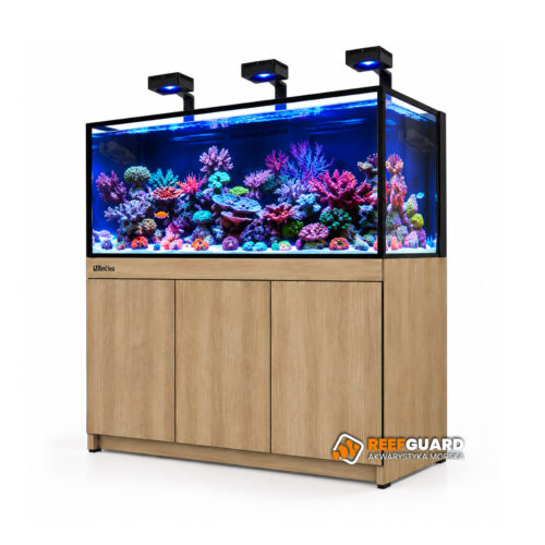 RED SEA REEF-FRAME 500 MAX akwarium 515l 150x57,5x55cm z dębową szafką front