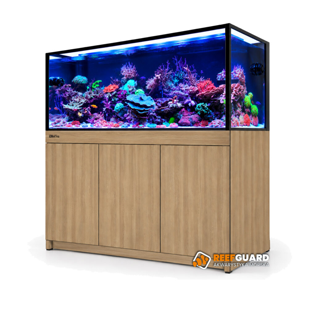 RED SEA REEF-FRAME 500 akwarium 515l 150x57,5x55cm z dębową szafką
