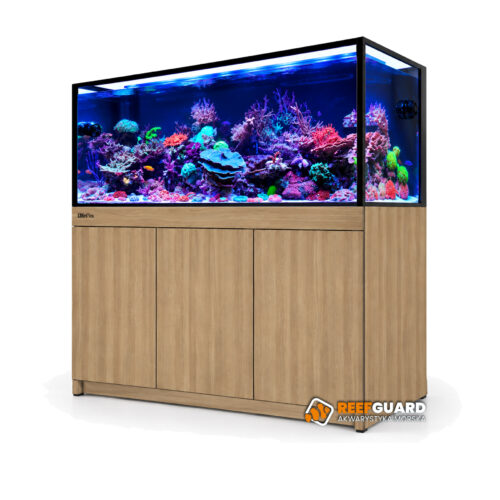 RED SEA REEF-FRAME 500 akwarium 515l 150x57x55cm z dębową szafką