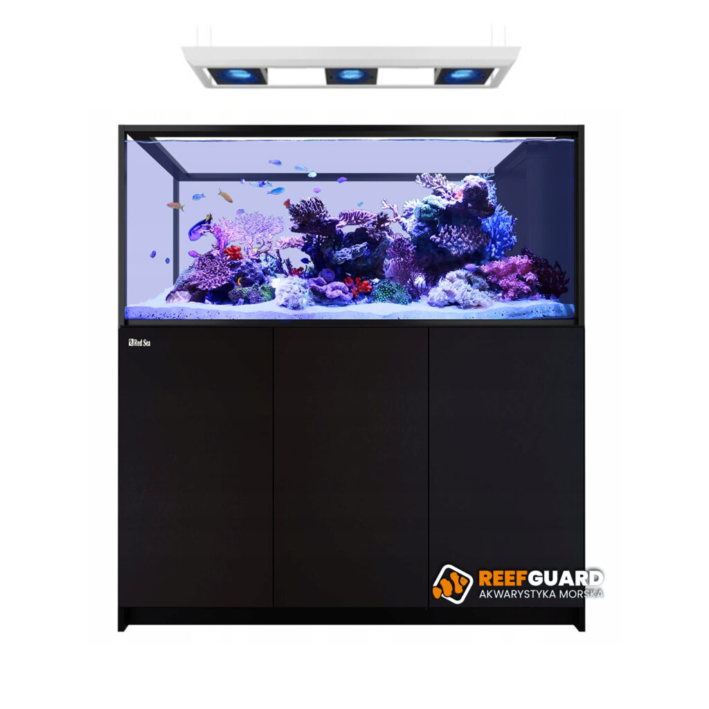 RED SEA REEFER Peninsula G3 S-700 akwarium 705l 151x68x65cm z czarną szafką MAX
