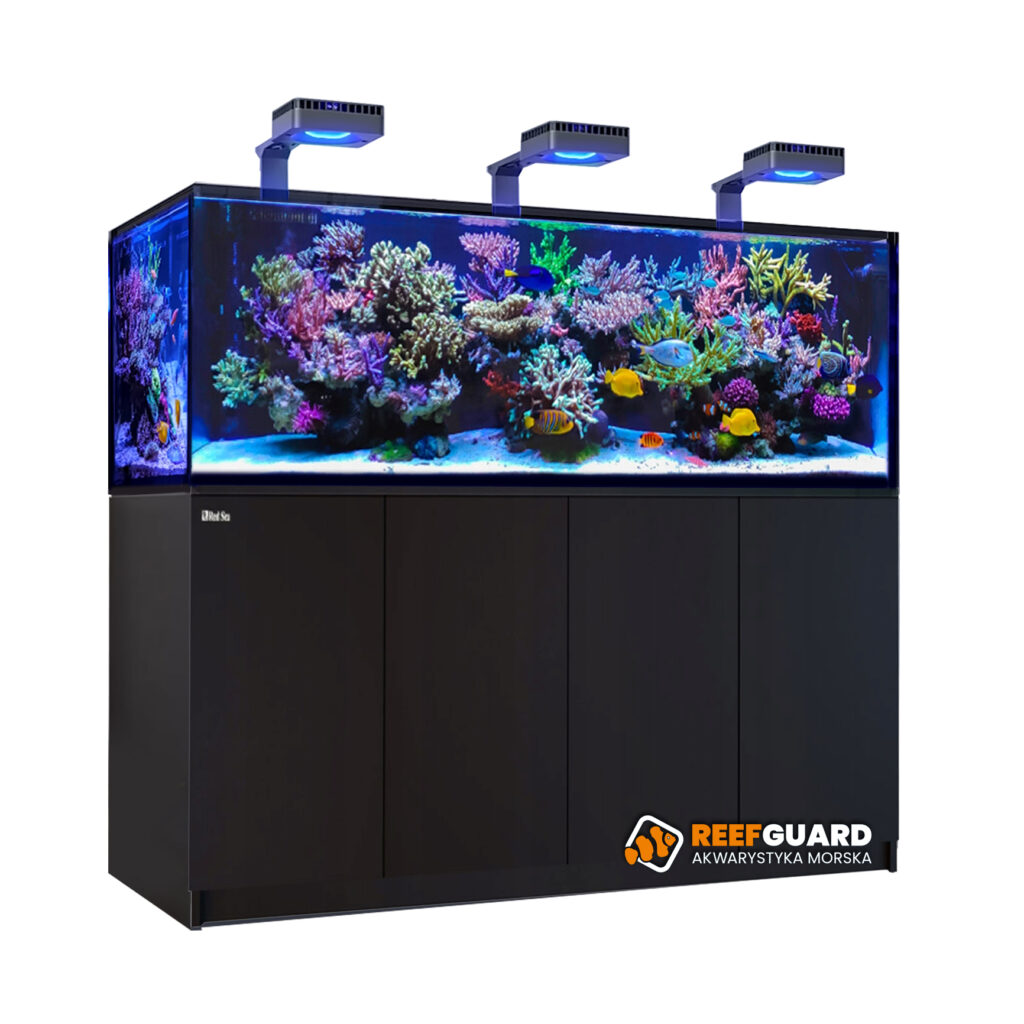 Red Sea REEFER MAX 750 G3 Complete System akwarium morskie 750 litrów z czarną szafką