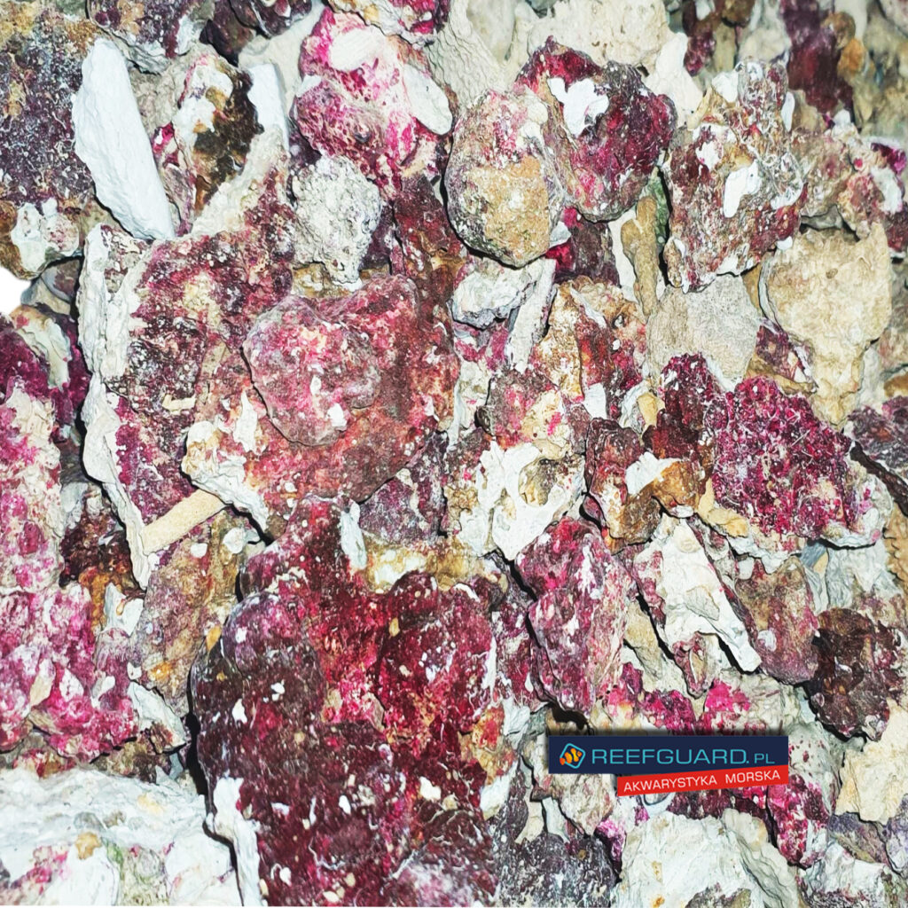 Sucha skała morska drobna do sumpa 90% Real Reef Rock 1kg