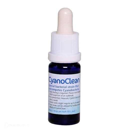 Korallen-Zucht Cyano Clean 10ml