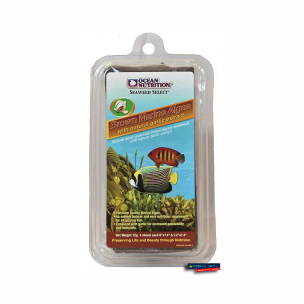 Seaweed Brown 12g Algi Ocean Nutrition