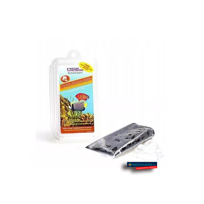 Seaweed Brown 30g z klipsem Algi Ocean Nutrition